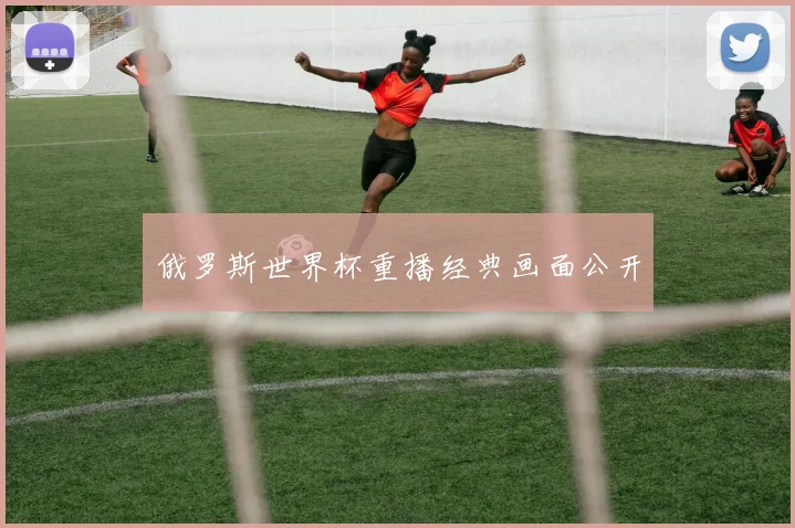 俄罗斯世界杯重播经典画面公开