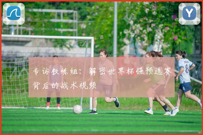 专访教练组：解密世界杯强预选赛背后的战术视频