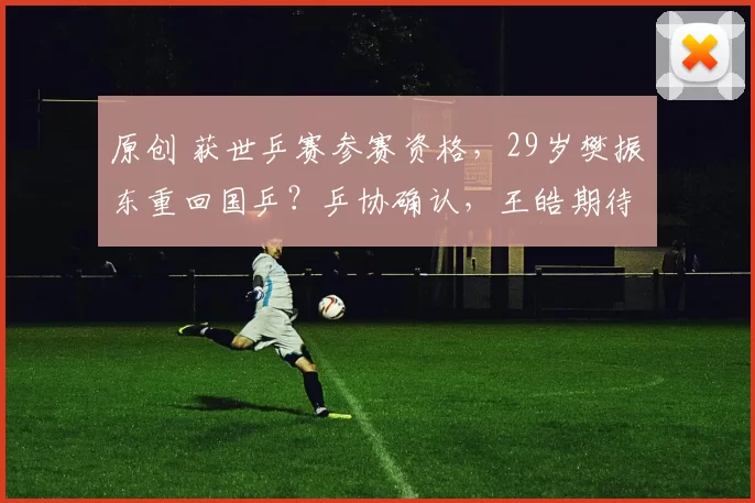 原创 获世乒赛参赛资格，29岁樊振东重回国乒？乒协确认，王皓期待