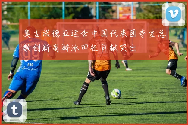 奥古诺德亚运会中国代表团夺金总数创新高游泳田径贡献突出