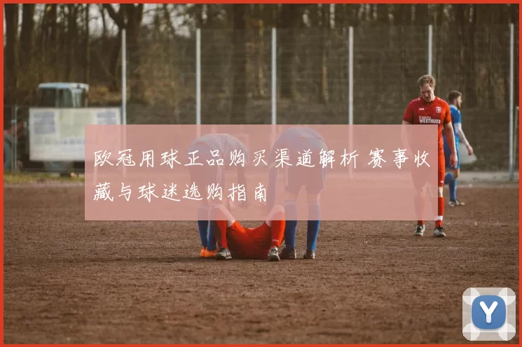 欧冠用球正品购买渠道解析 赛事收藏与球迷选购指南