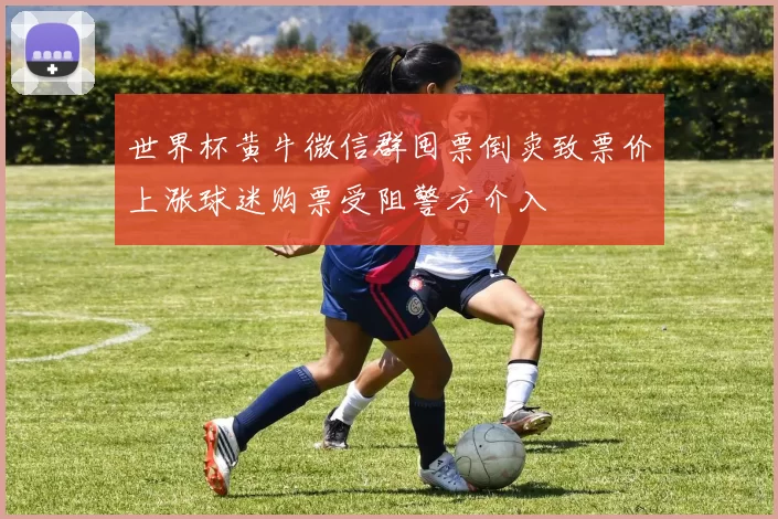 世界杯黄牛微信群囤票倒卖致票价上涨球迷购票受阻警方介入