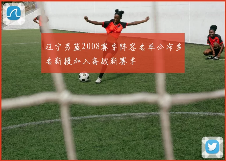 辽宁男篮2008赛季阵容名单公布多名新援加入备战新赛季